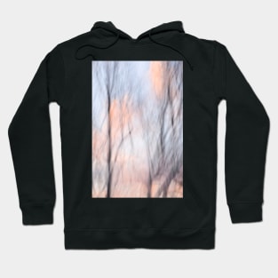 cotton candy cloudy day (impressionism) Hoodie